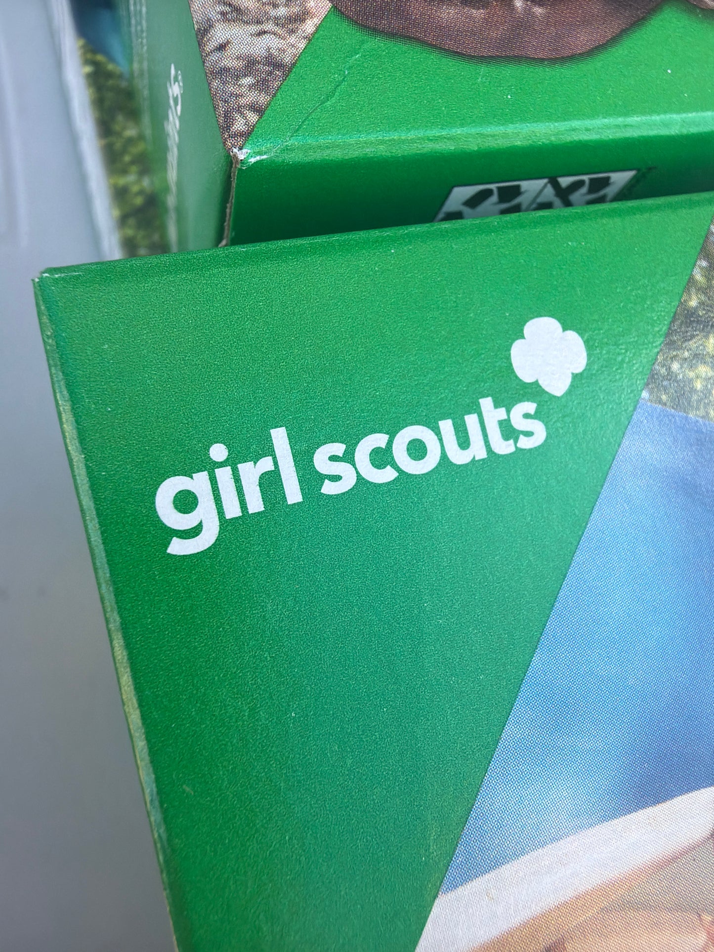 Girlscouts cookie